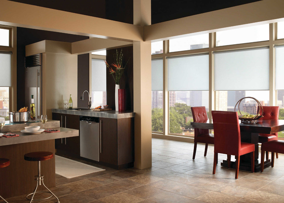 Living Room Manual Thermal Insulated Sun Shade Roller Blinds