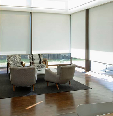 Window Decoration Waterproof Roller Blinds Motorized Roller Blind Eco - Friendly