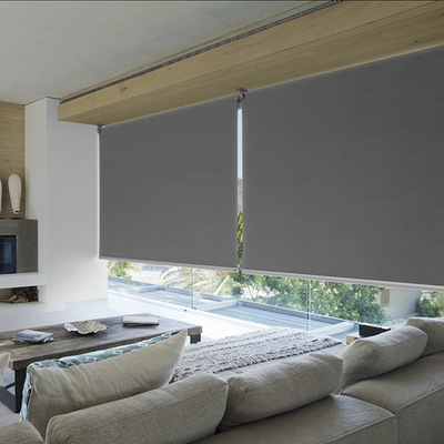 ISO9001 Horizontal Zebra Quiet Pvc Exterior Roll Up Sun Shades