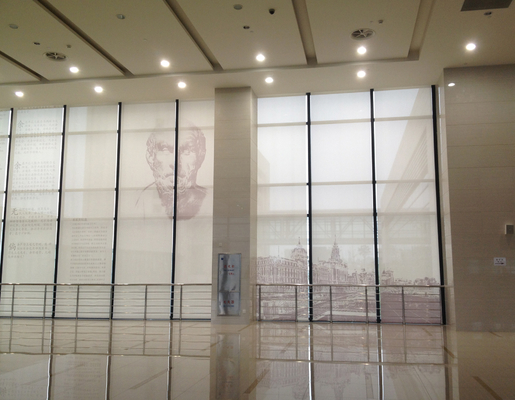 Remote Control Custom Electric Blinds Up And Down Synchronized Black Roller Blinds