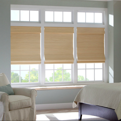 SGS Sun Protection Manual Roller Blind Reed Shades